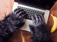 パソコンするゴリラ