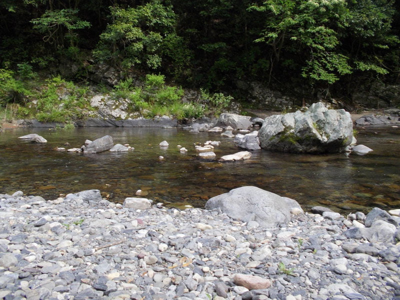 葵茶屋キャンプ場