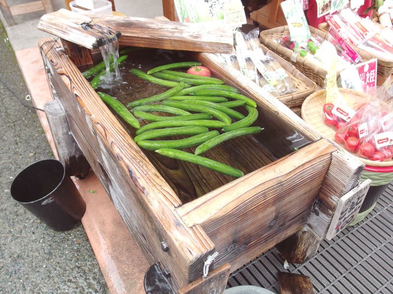 高山の朝市での胡瓜