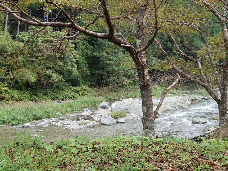 下市町森林公園やすらぎ村