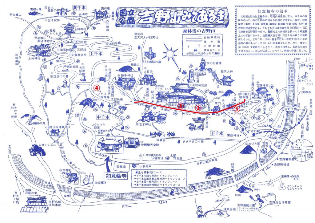 吉野紅葉ライトアップ