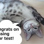 合格おめでとう！