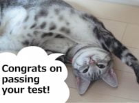 合格おめでとう！