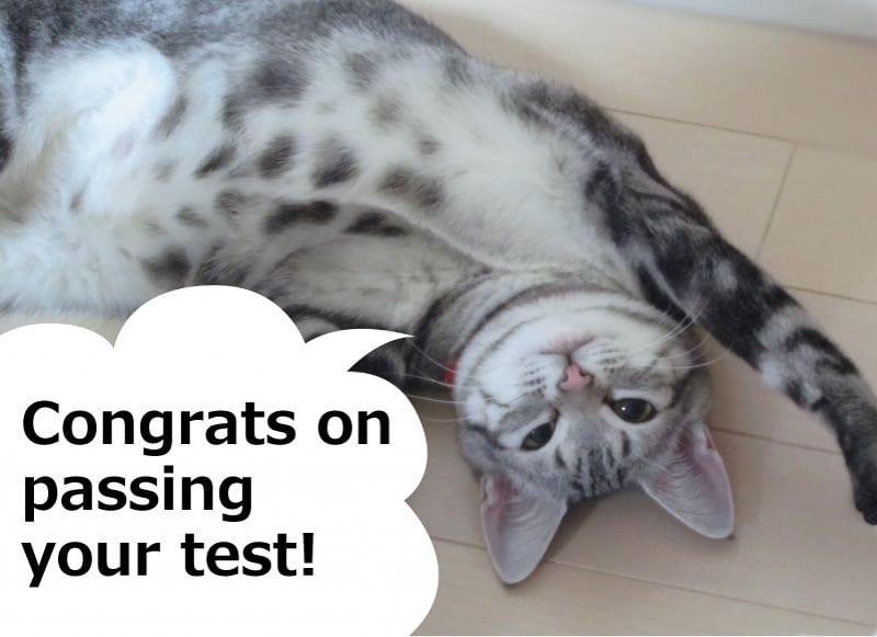 合格おめでとう！