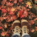 紅葉の上を歩く
