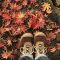 紅葉の上を歩く
