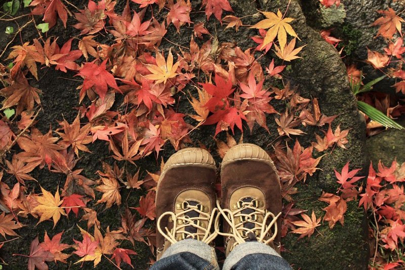 紅葉の上を歩く