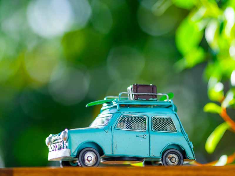 緑の中を走る車