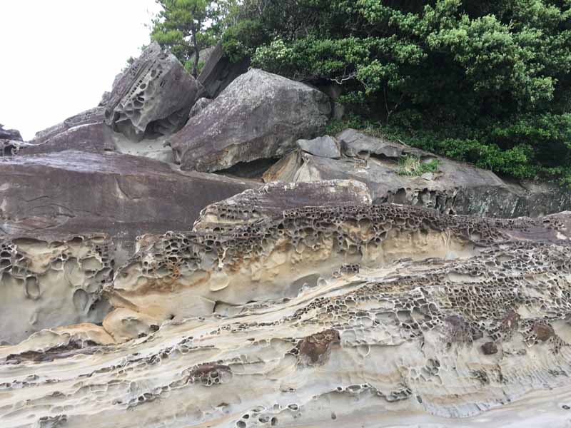 竜串海岸の奇岩