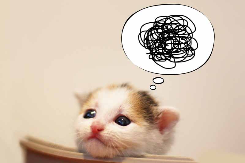 危険物乙4の合格率が低い理由