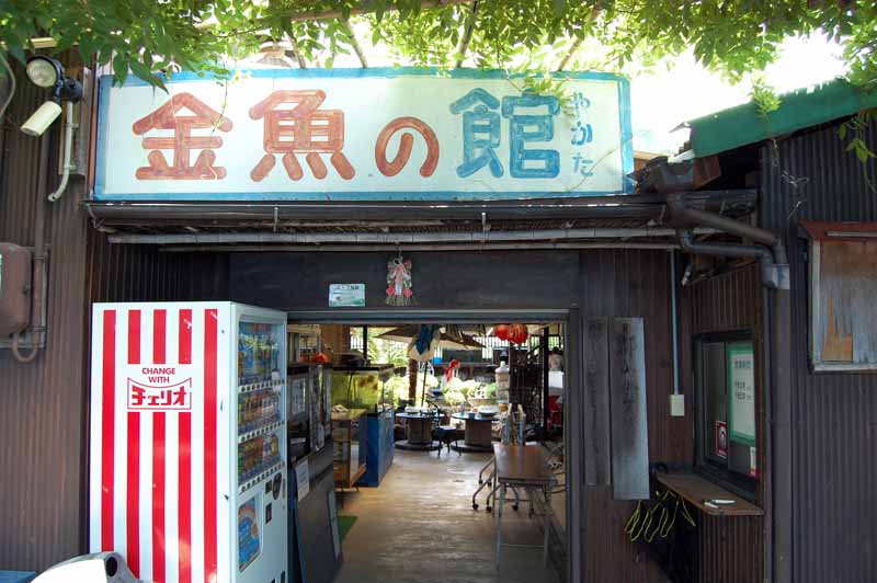 金魚資料館、金魚の館