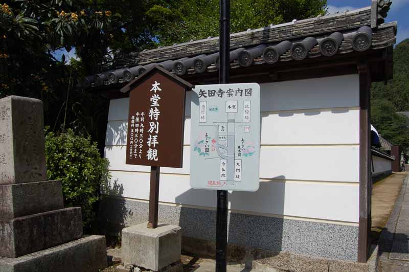 矢田寺