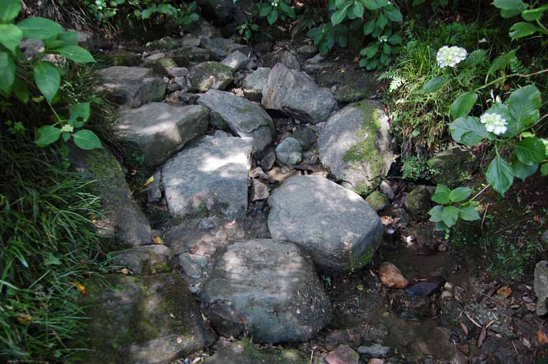 矢田寺あじさい庭園