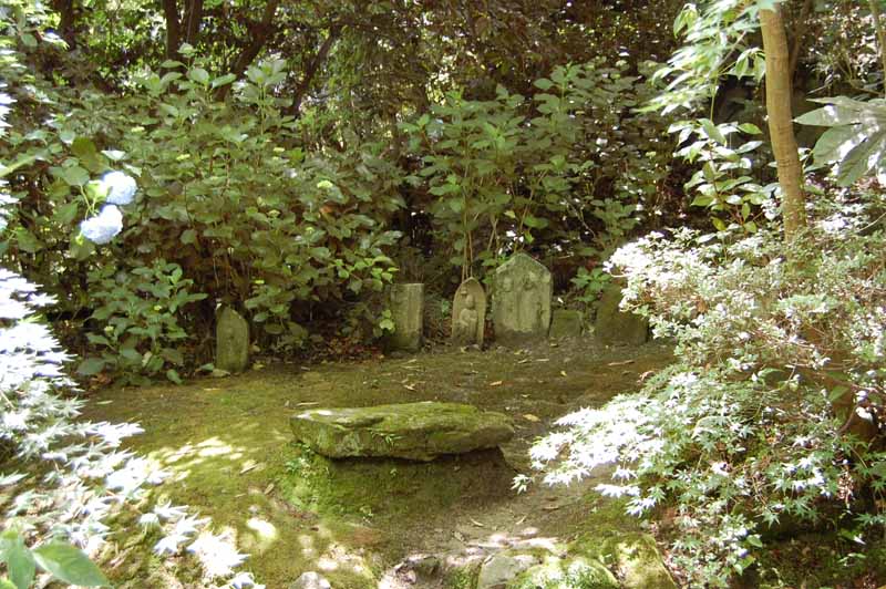 矢田寺あじさい庭園