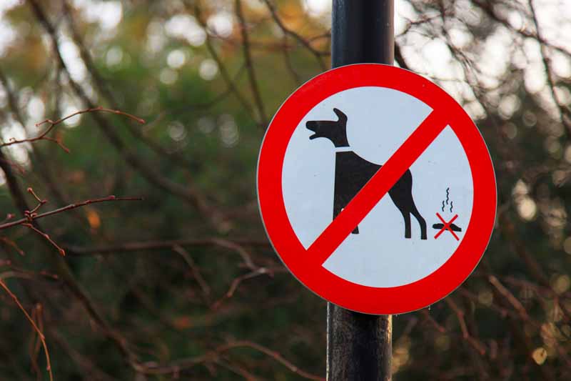 犬のフン禁止