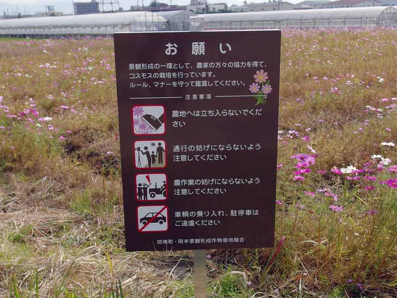 法起寺コスモス、注意書き