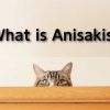 アニサキスとは