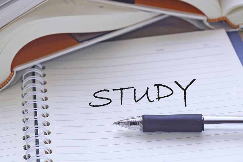 STUDY