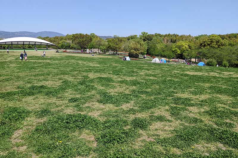 馬見丘陵公園の集いの丘