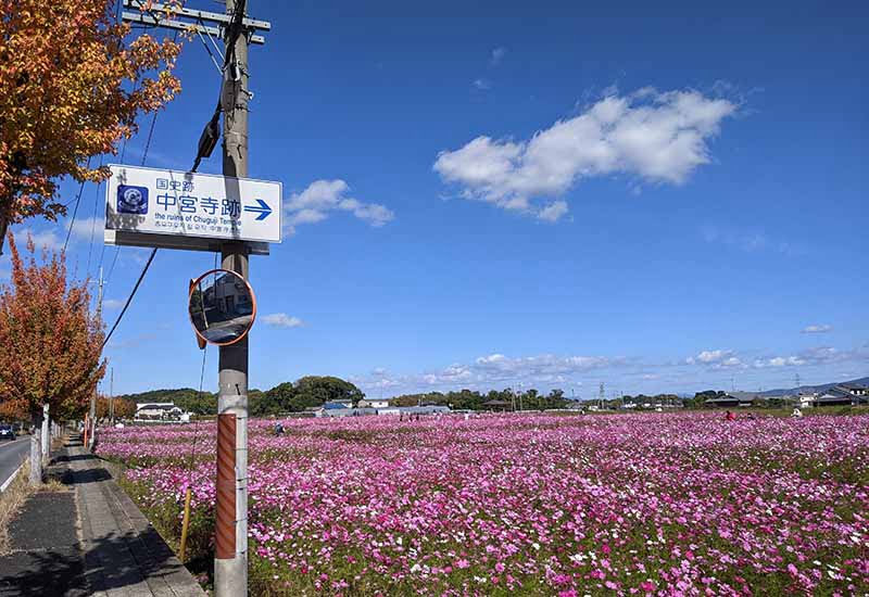 中宮寺跡史跡公園