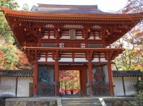 室生寺の仁王門